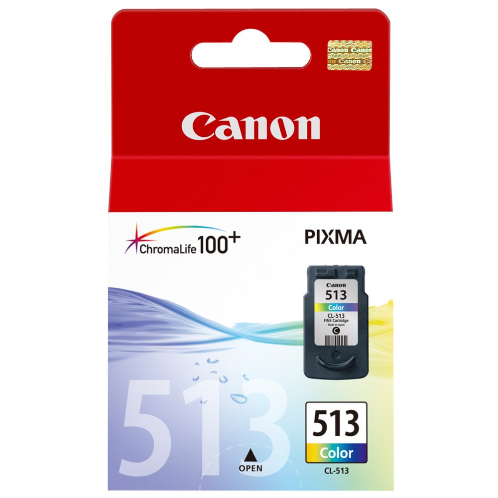 CARTUCCIA CANON CL 513 COLORE ORIGINALE 2971B001